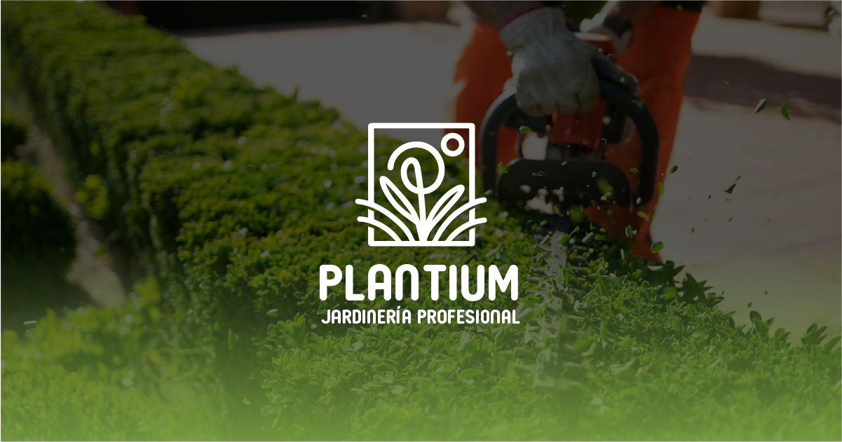 Plantium Solutions, jardinería y paisajismo en Jerez de la Frontera